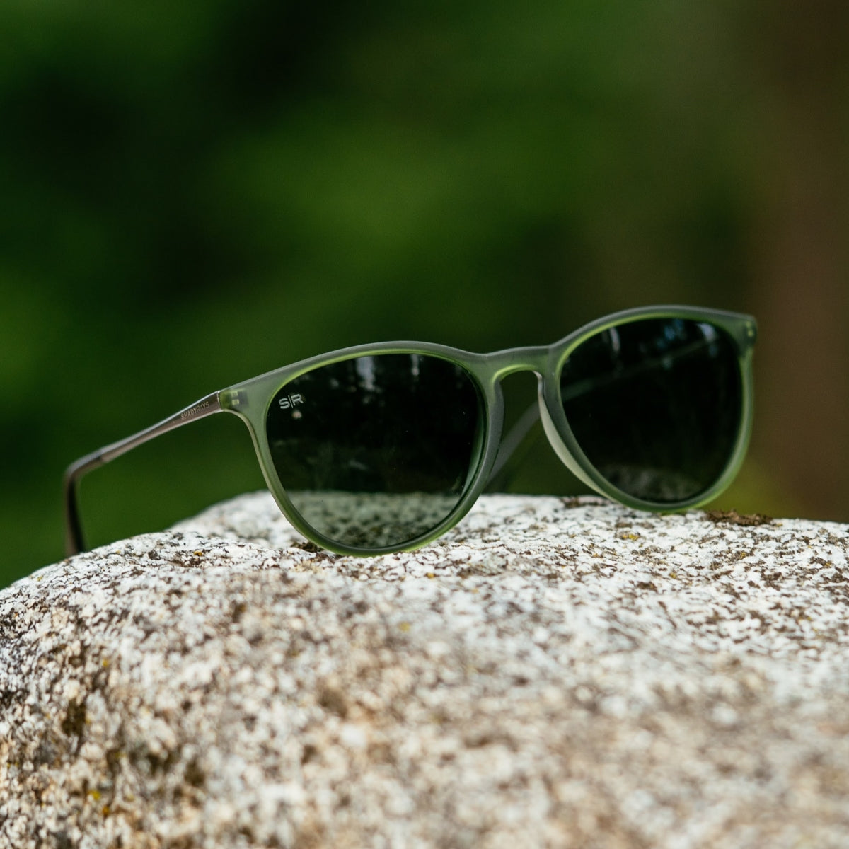 Allure – Sage Polarized