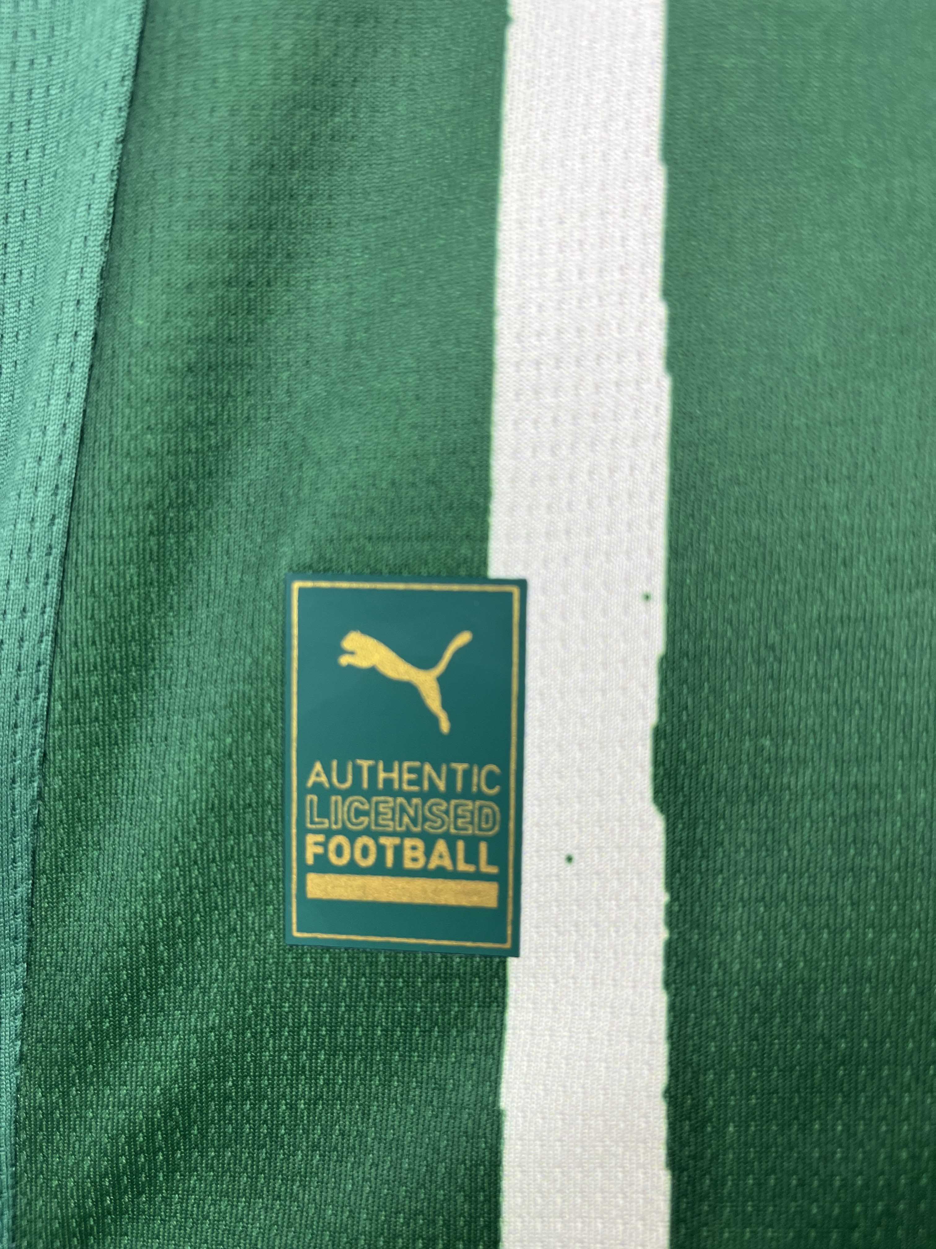 2025/2026 Palmeiras Home Football Jersey 1:1 Thai Quality