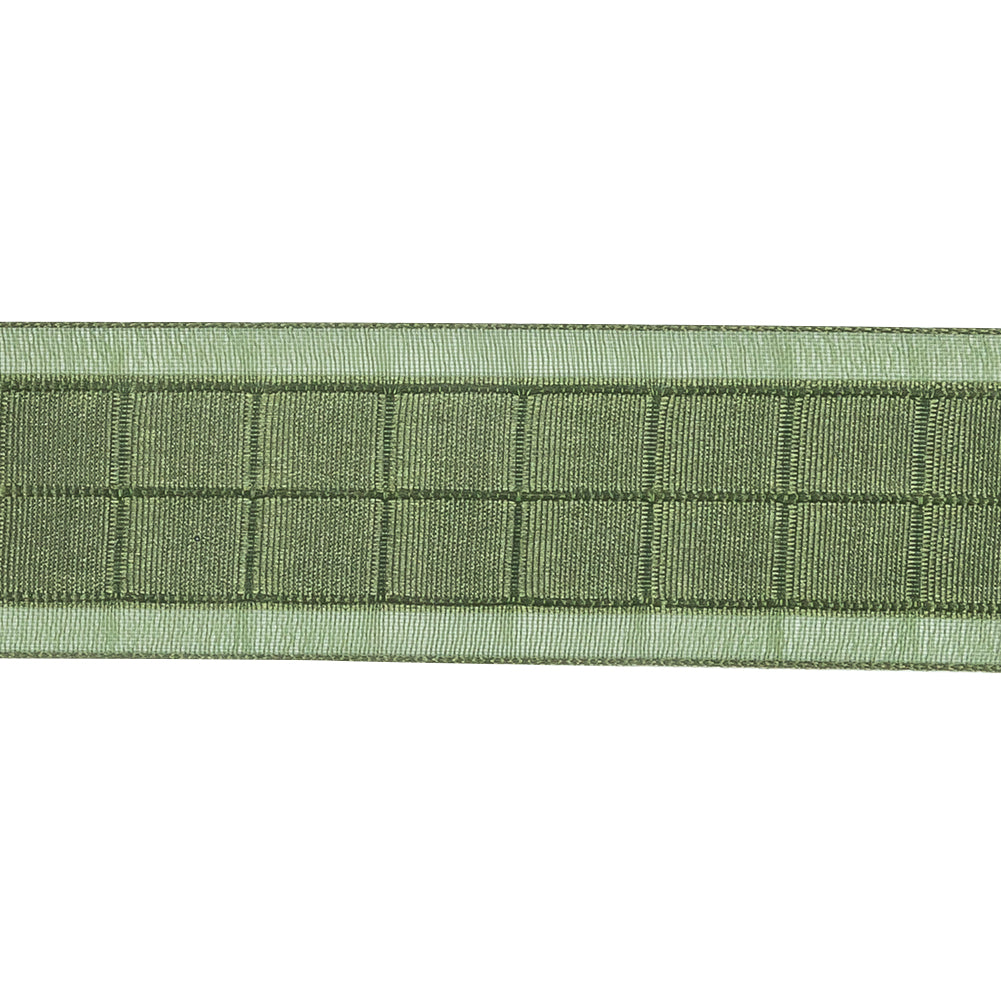 Moss Squares and Sheer Borders Ribbon - 1