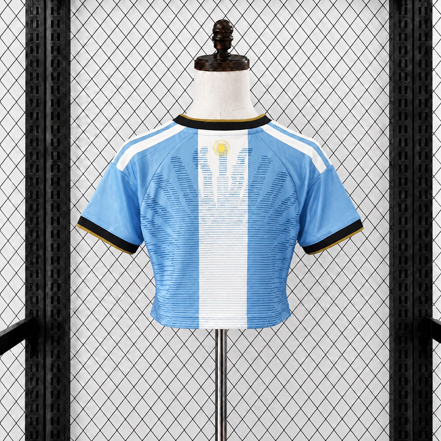 Women's Argentina 2026 MESSI Tribute Blus Cropped Jersey - Fans Version - UnitedFutballJersey