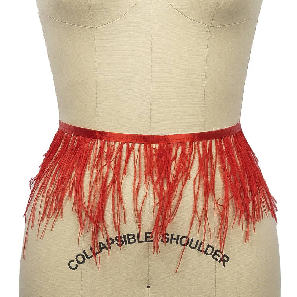 Ostrich Feather Fringe Trim 5