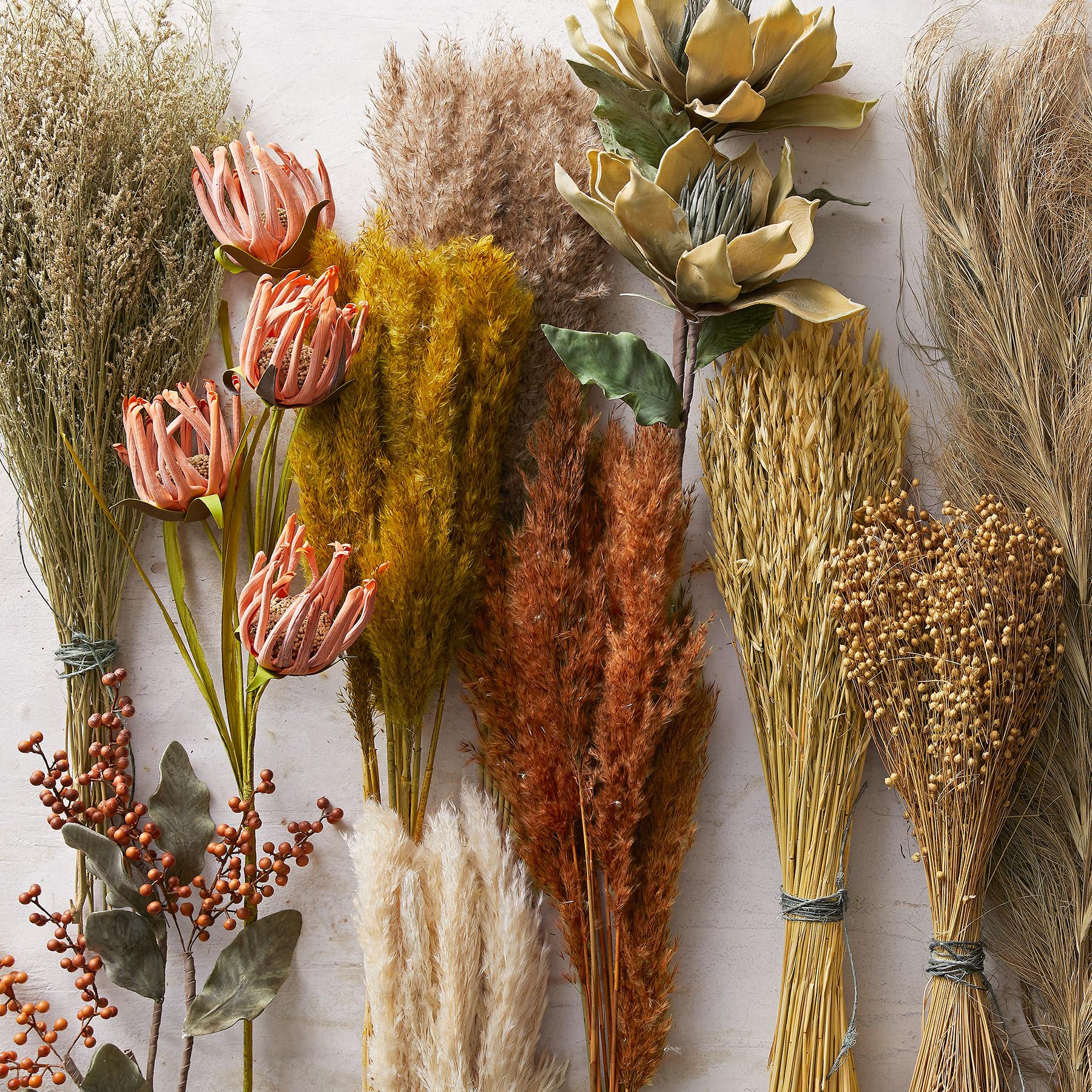 Countryside Dried Botanics - Blair Catalog