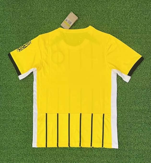 2024/2025 Brighton Away Football Shirt 1:1 Thai Quality