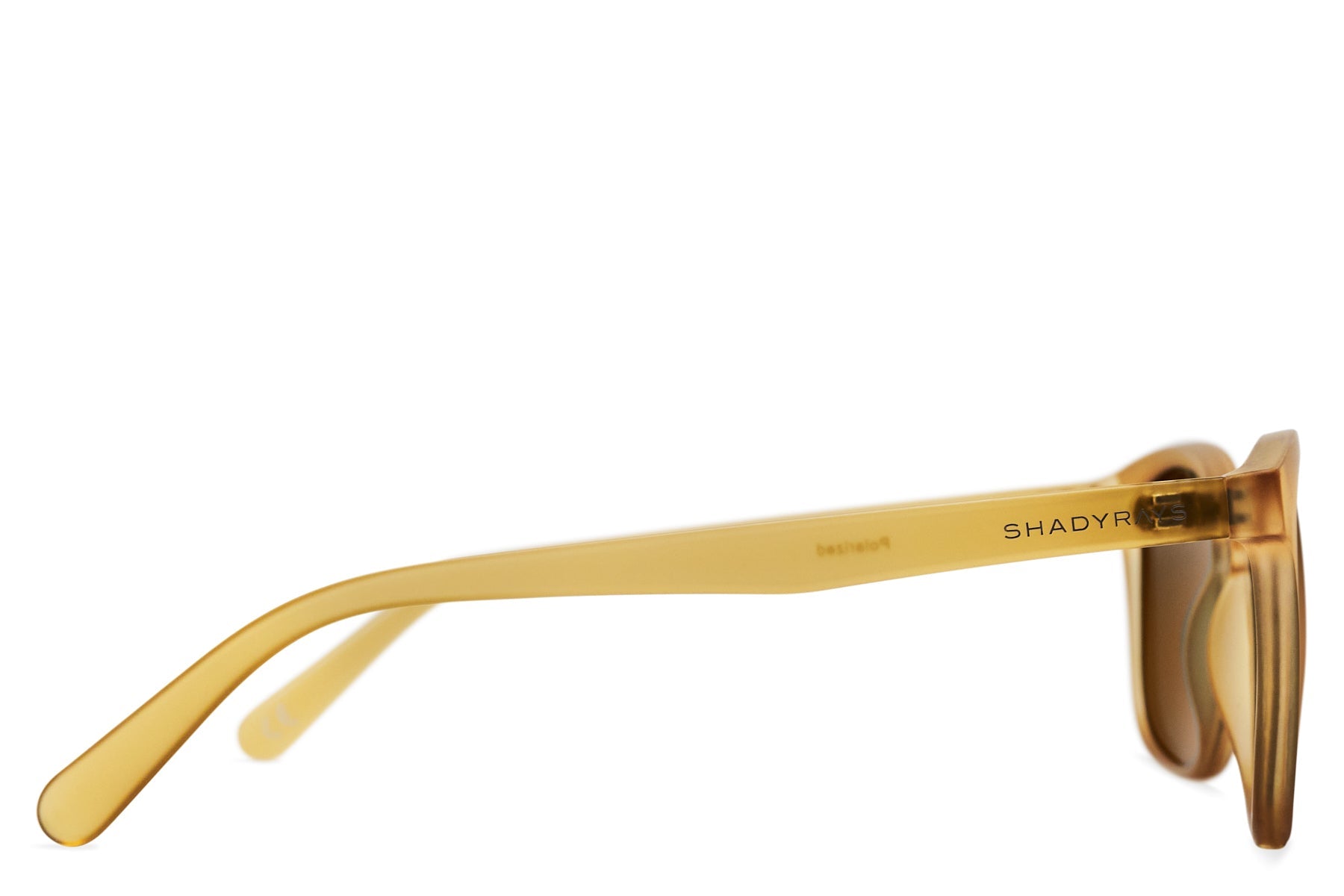 Cypress – Sandstone Polarized