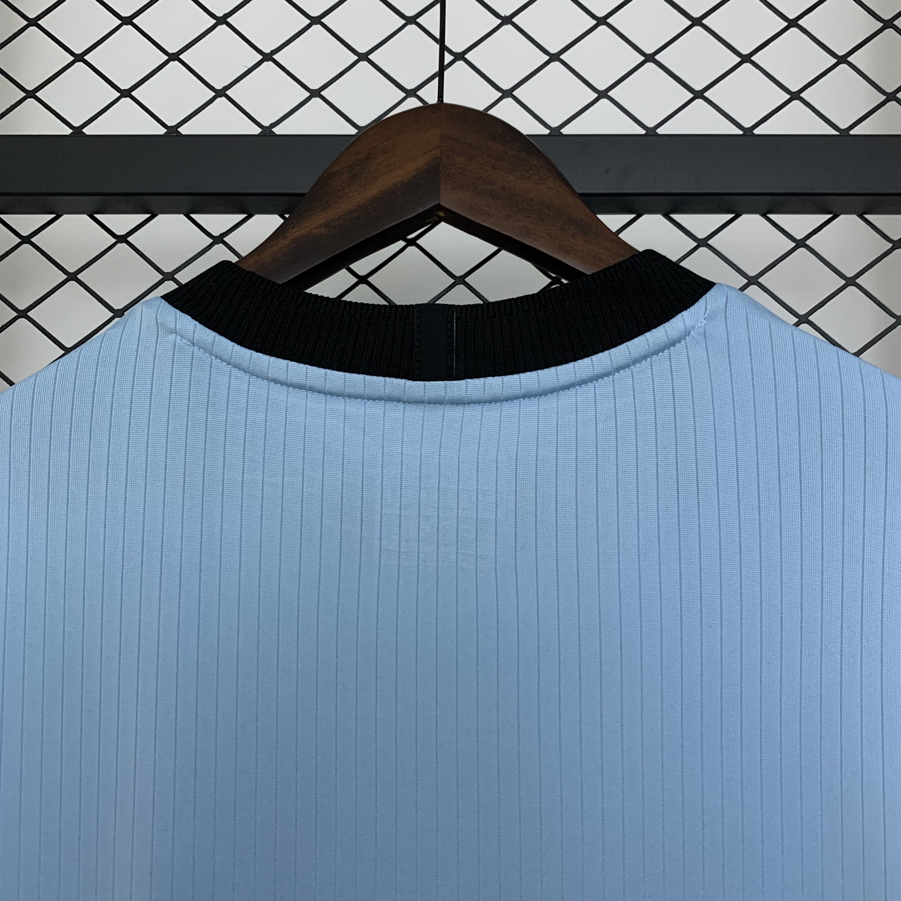 2025/2026 Germany 125th Anniversary Edition Sky Blue Football Jersey 1:1 Thai quality