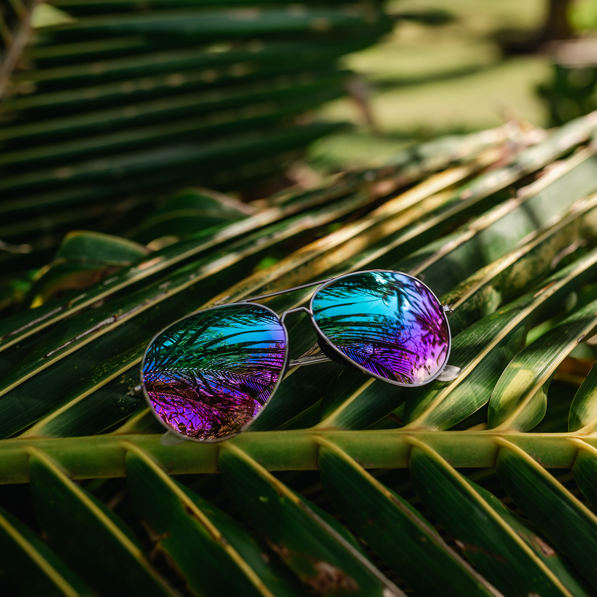 Tangle Free Aviator – Lagoon Polarized