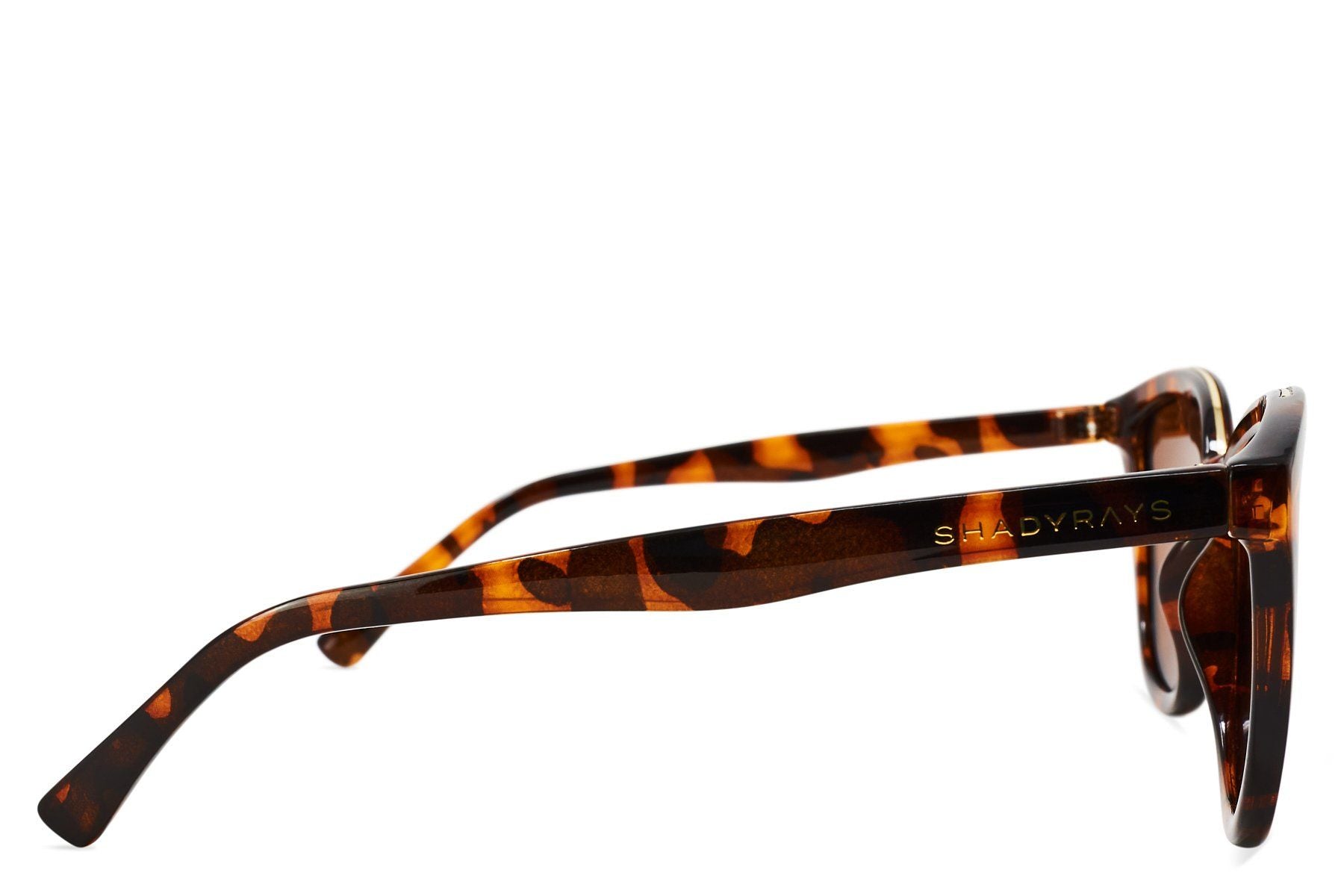 Calico – Amber Tortoise Polarized