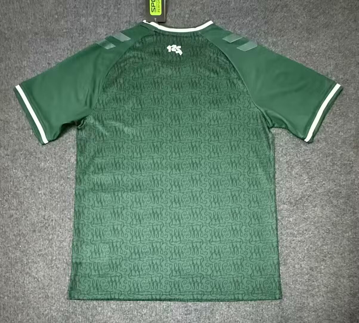 2025/2026 Werder Bremen Special Edition 01 Football Shirt 1:1 Thai Quality