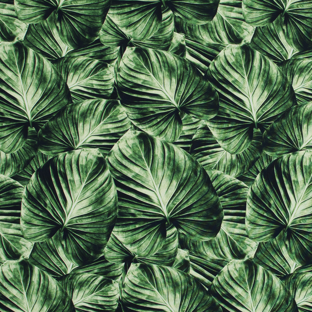 Banana Leaf Caye UV Protective Compression Swimwear Tricot with Aloe Vera Microcapsules - Joann Fabrics