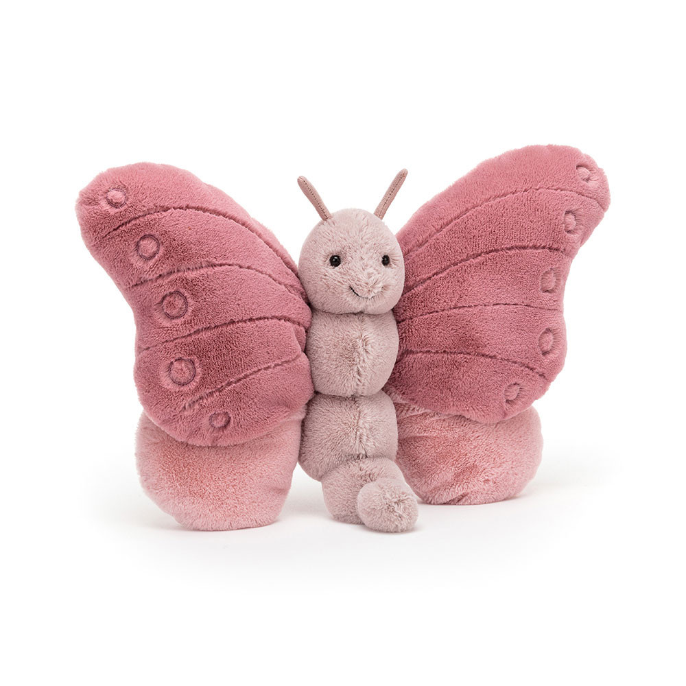 Beatrice Butterfly's Wild Garden Book & Beatrice Butterfly