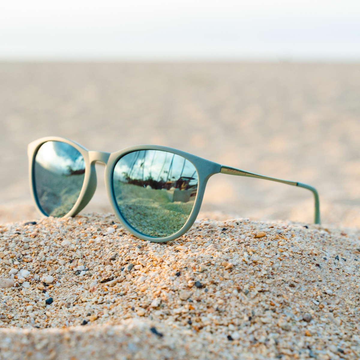 Allure – Agave Polarized