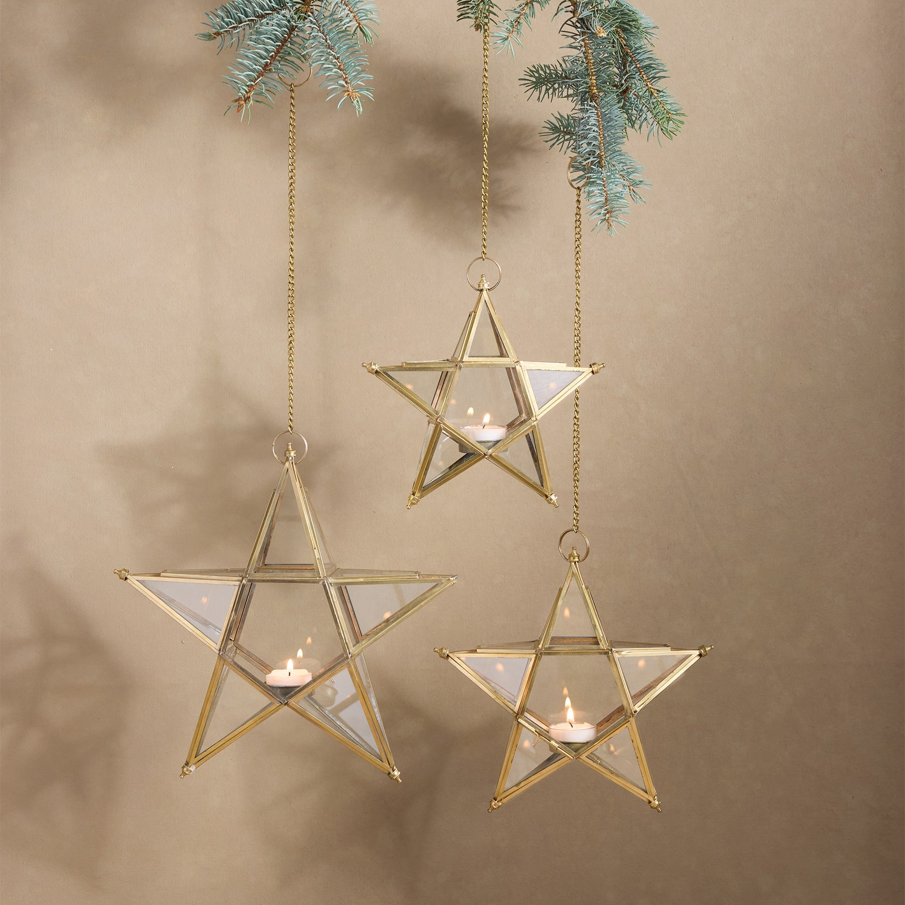 Starlit Wonder Luminary - Blair Catalog