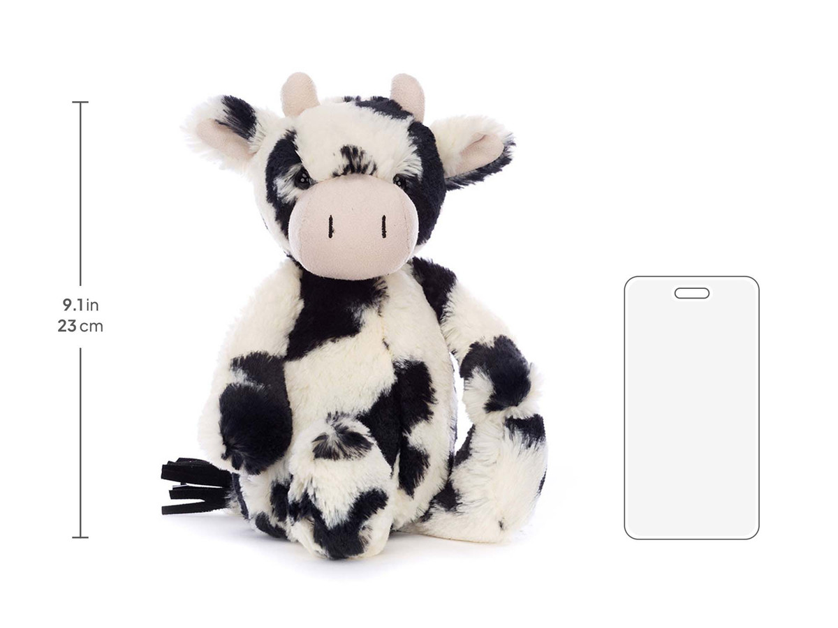 Bashful Calf