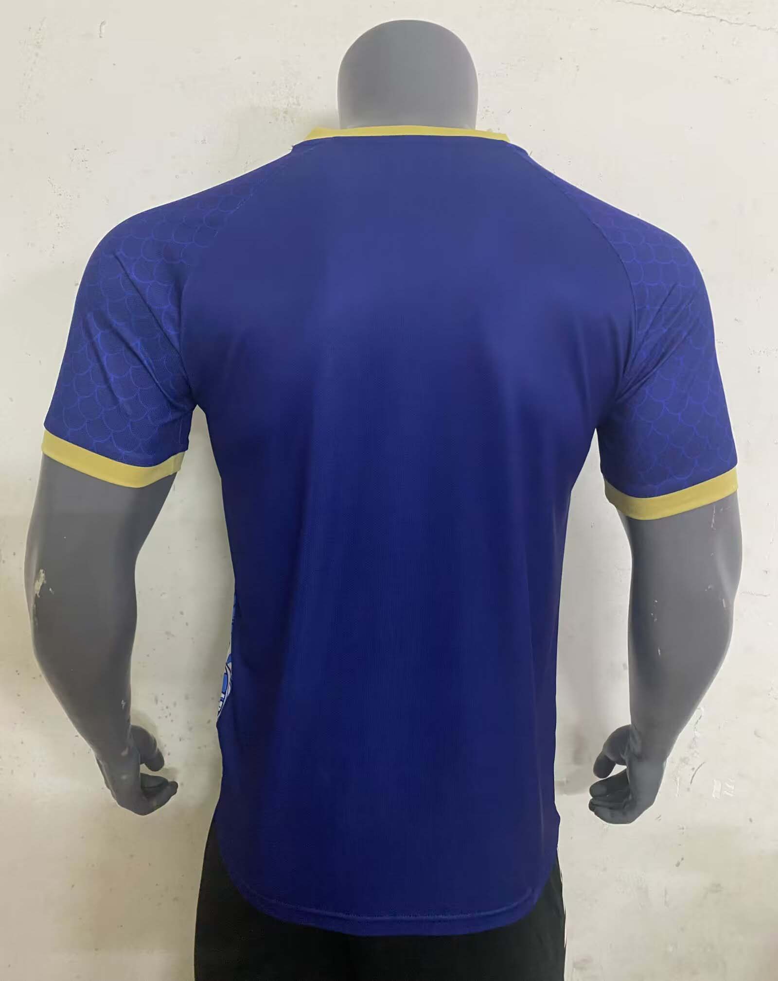 2024 Japan Special Edition Blue Football Shirt 1:1 Thai Quality