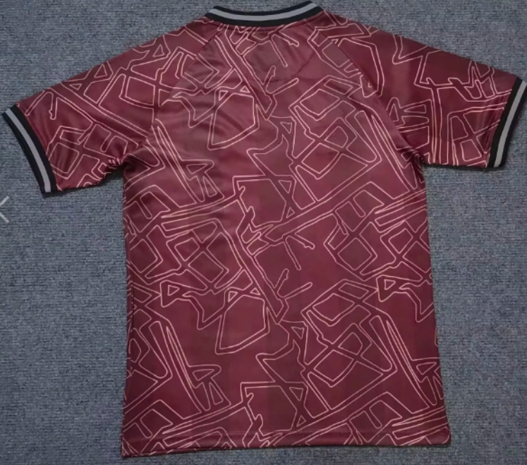 2024/2025 Denmark National Team Special Edition Football Shirt 1:1 Thai Quality