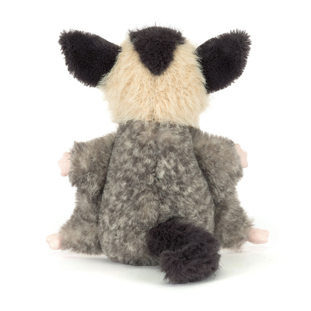 Lolly Sugar Glider