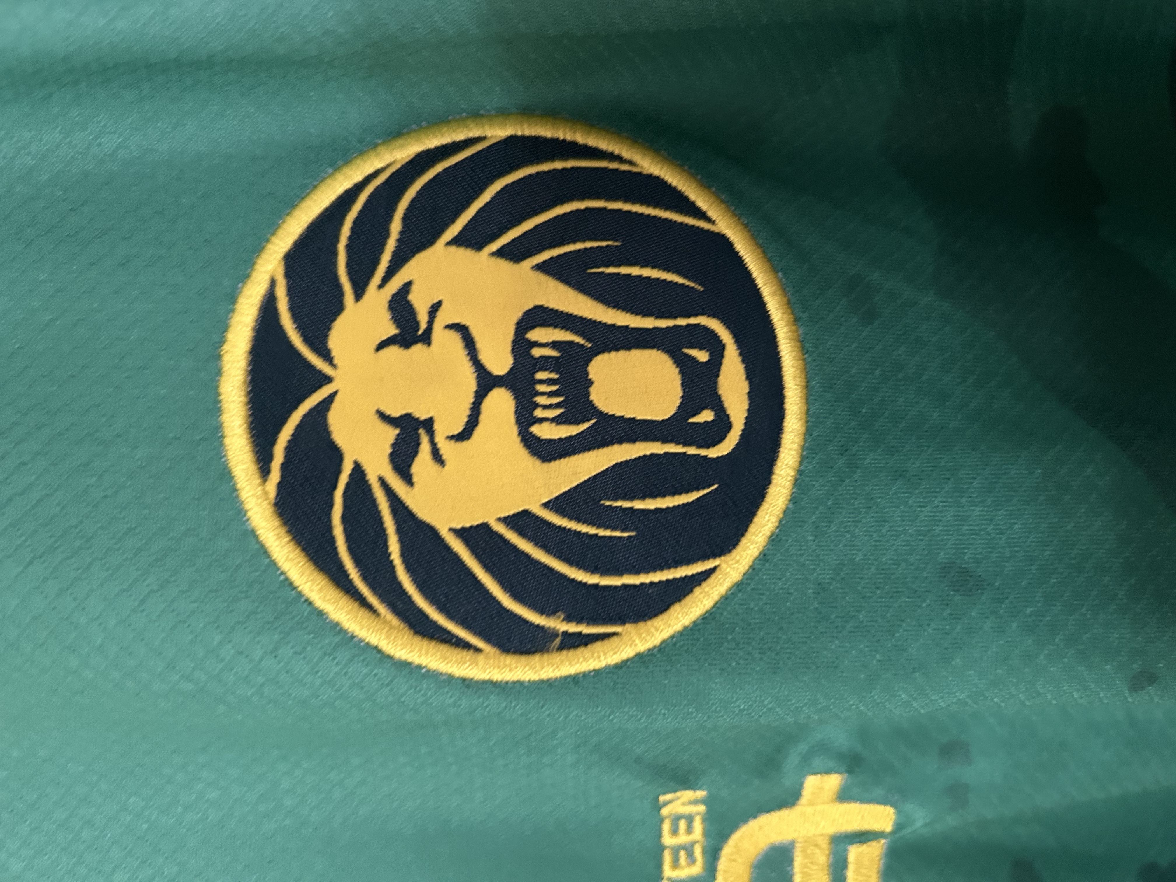 2025/2026 Cameroon Home Football Shirt 1:1 Thai Quality