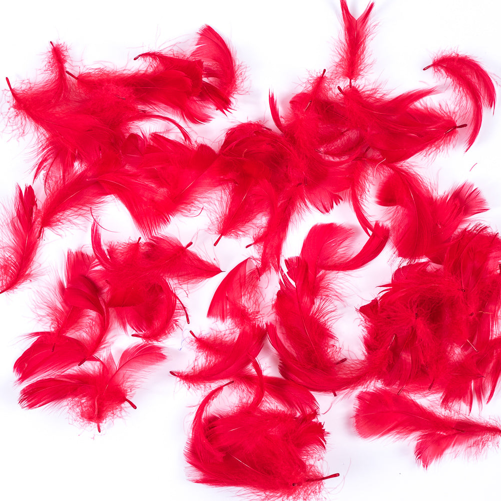 Red 5 Gram Bag of Feathers - Joann Fabrics