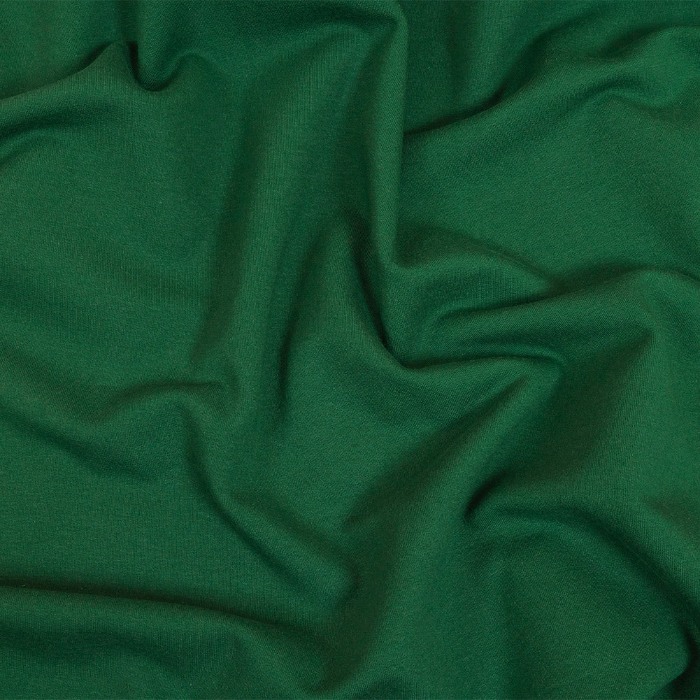 Fleece-Backed Stretch Cotton Knit - Forest Green - Cecil Collection - Joann Fabrics