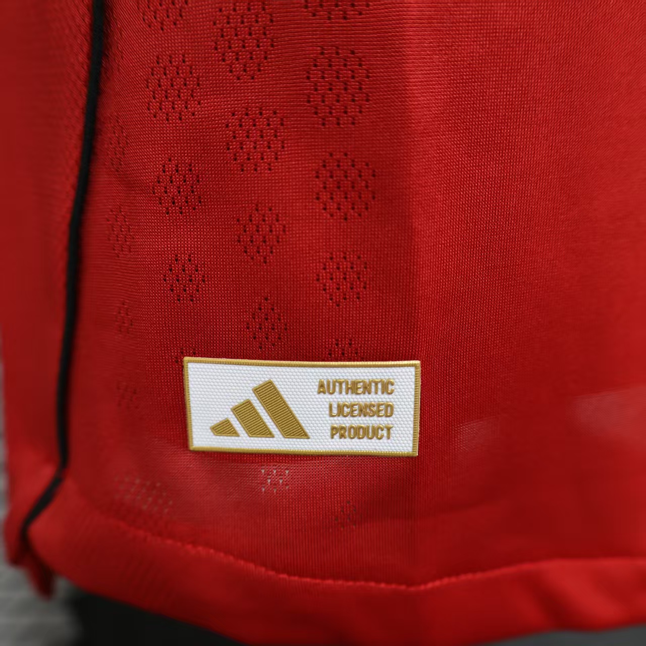2025/2026 Long Sleeve Player Version Manchester United Home Football Shirt 1:1 Thai Quality