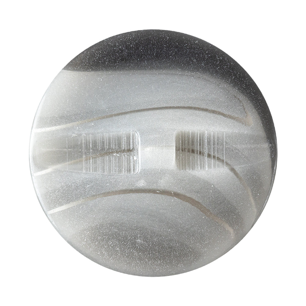Gray Plastic Self Shank Button - 50L/32mm - Joann Fabrics