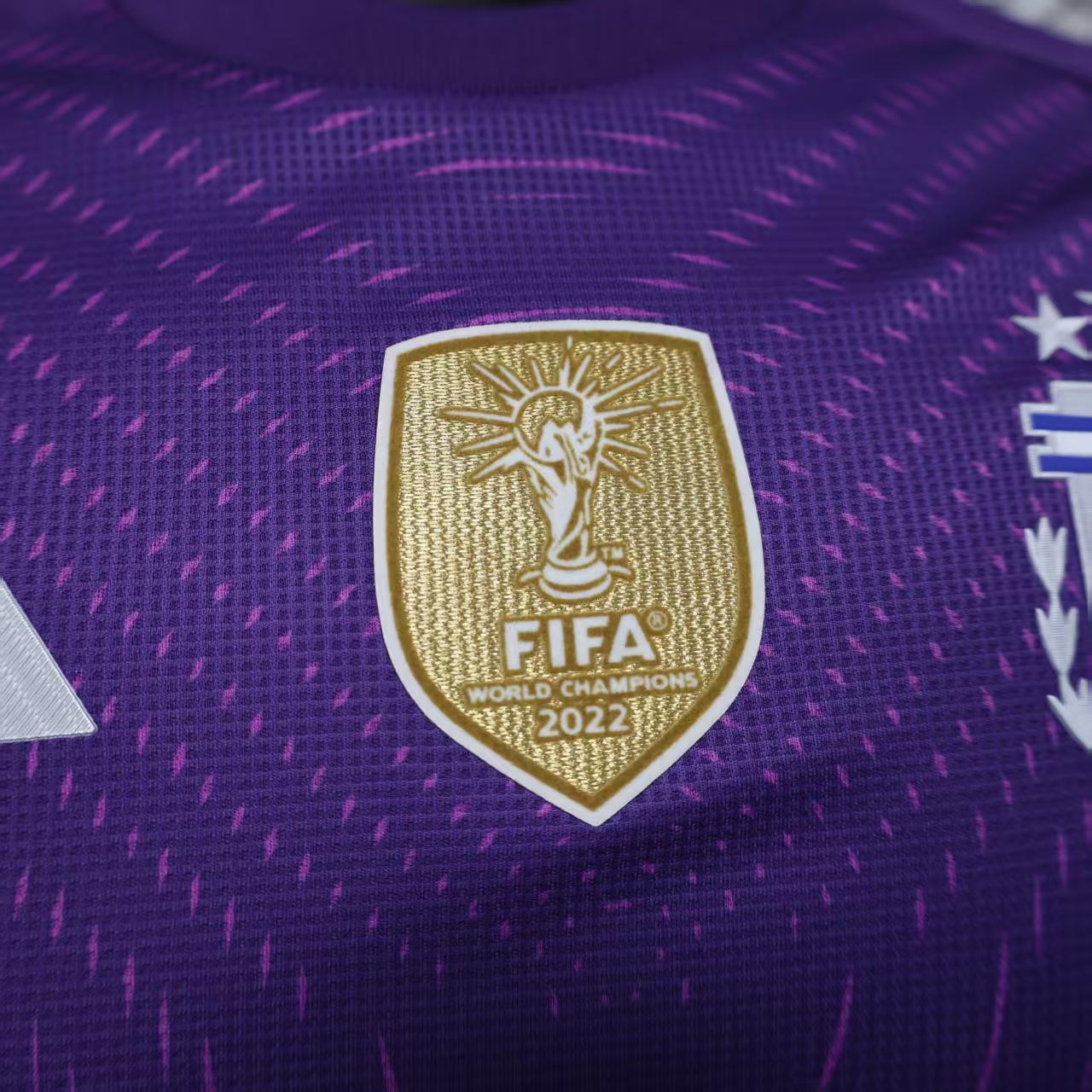 2025/2026 Player Version Argentina Goalkeeper Purple Football Jersey 1:1 Thai Quality