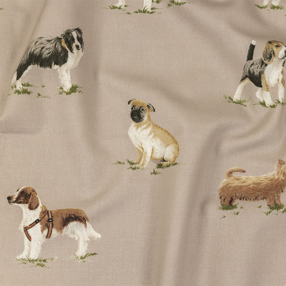 Cotton Canvas Print - Caramel Puppy Parade - British Imported - Joann Fabrics