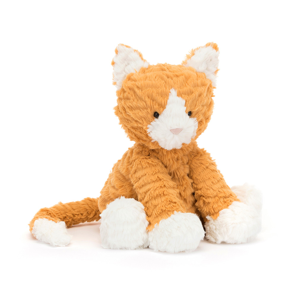 Ginger, the Courageous Kitten Book and Fuddlewuddle Ginger Cat