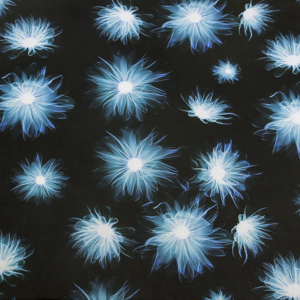 Blue/Black X-Ray Floral Digitally Printed Stretch Neoprene/Scuba Knit - Joann Fabrics