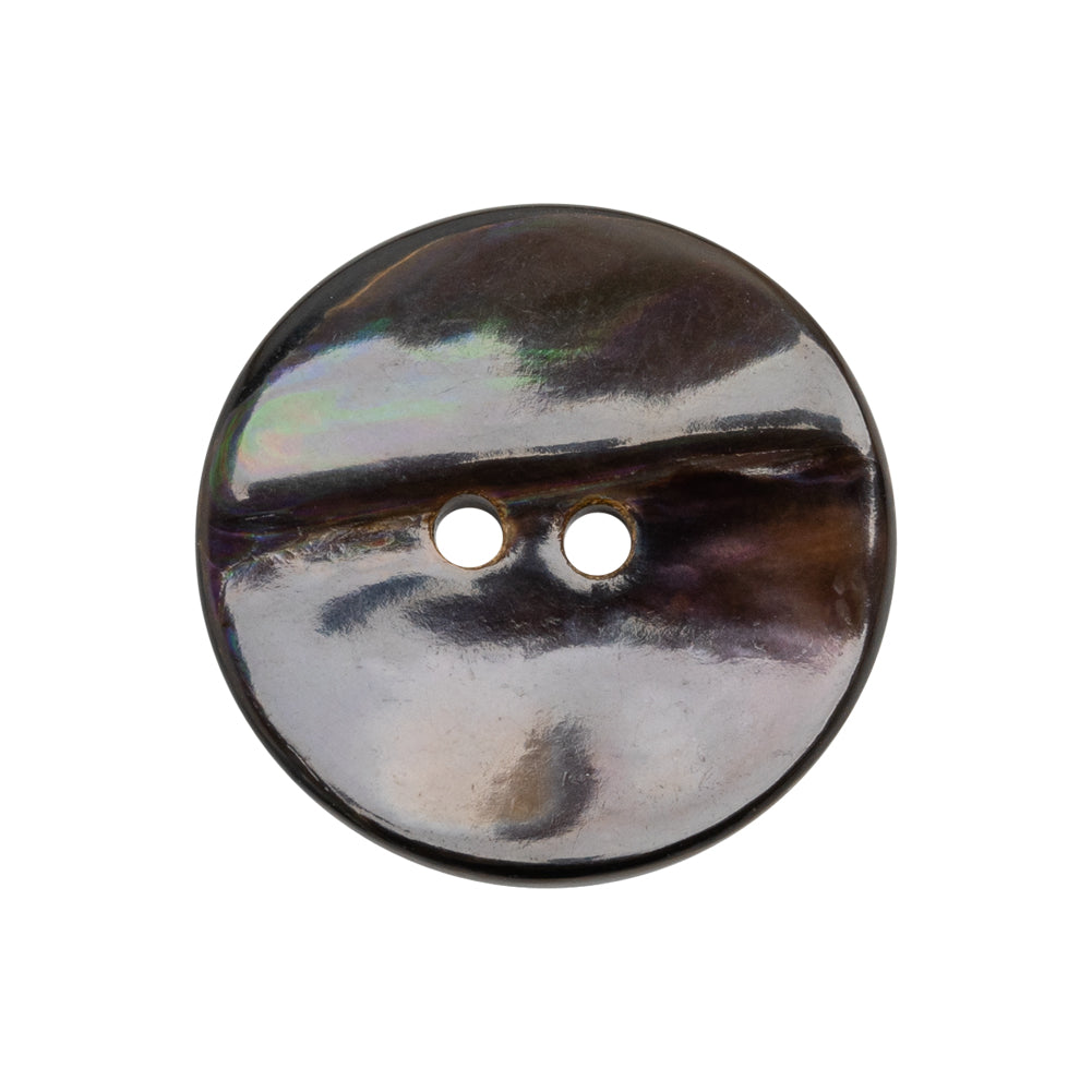Iridescent Brown Organic Shell 2-Hole Button - 40L/25.5mm - Joann Fabrics