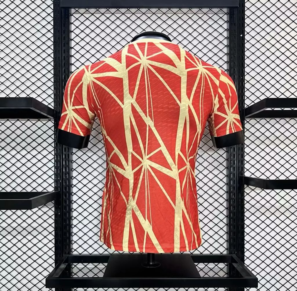 2024/2025 Player Version Bayern Munich Special Edition Football Shirt 1:1 Thai Quality