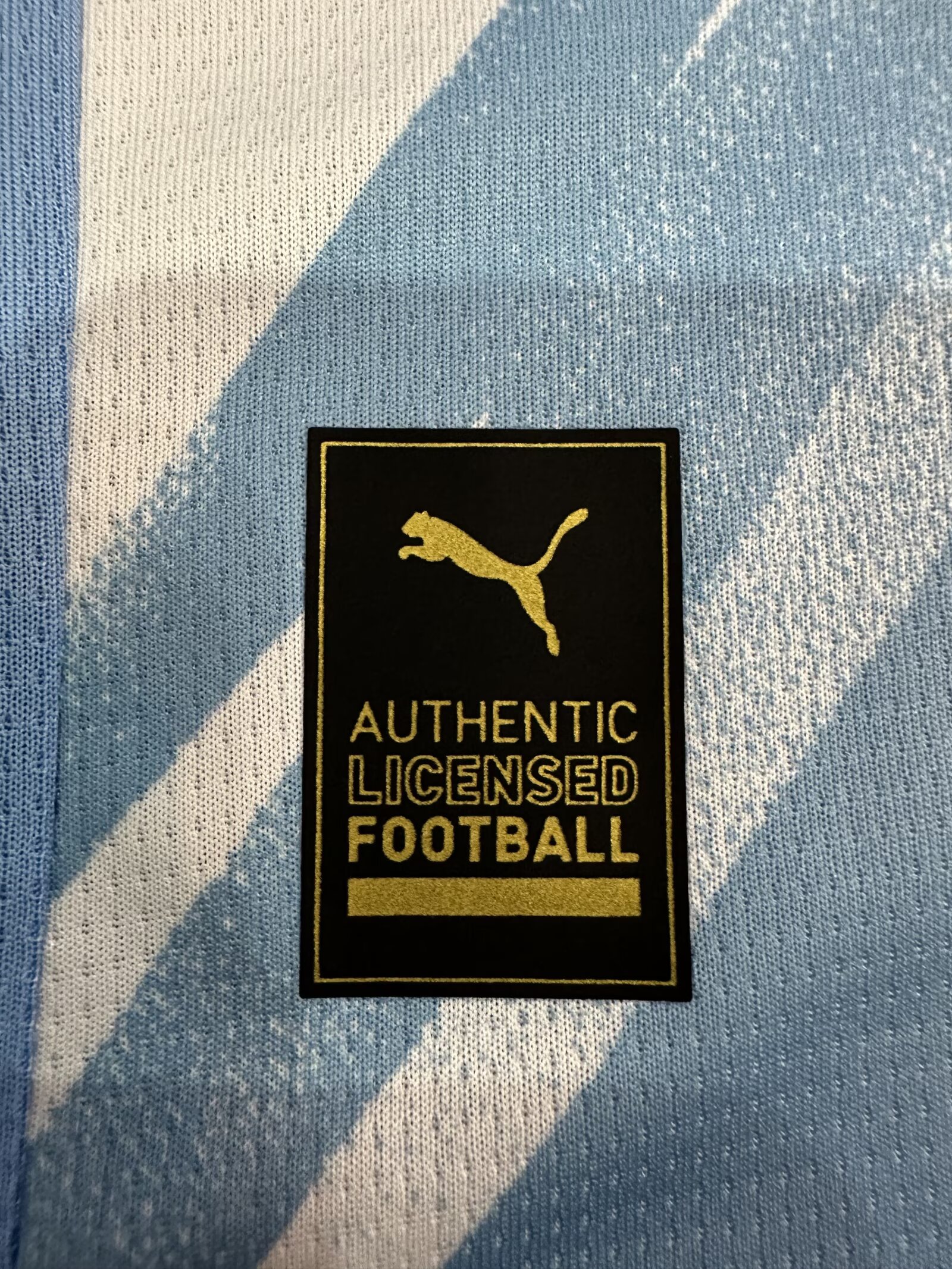 2025/2026 Manchester City Home Football Jersey 1:1 Thai Quality