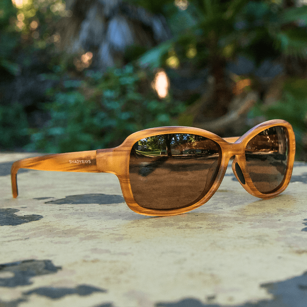 Magnolia – Honey Polarized