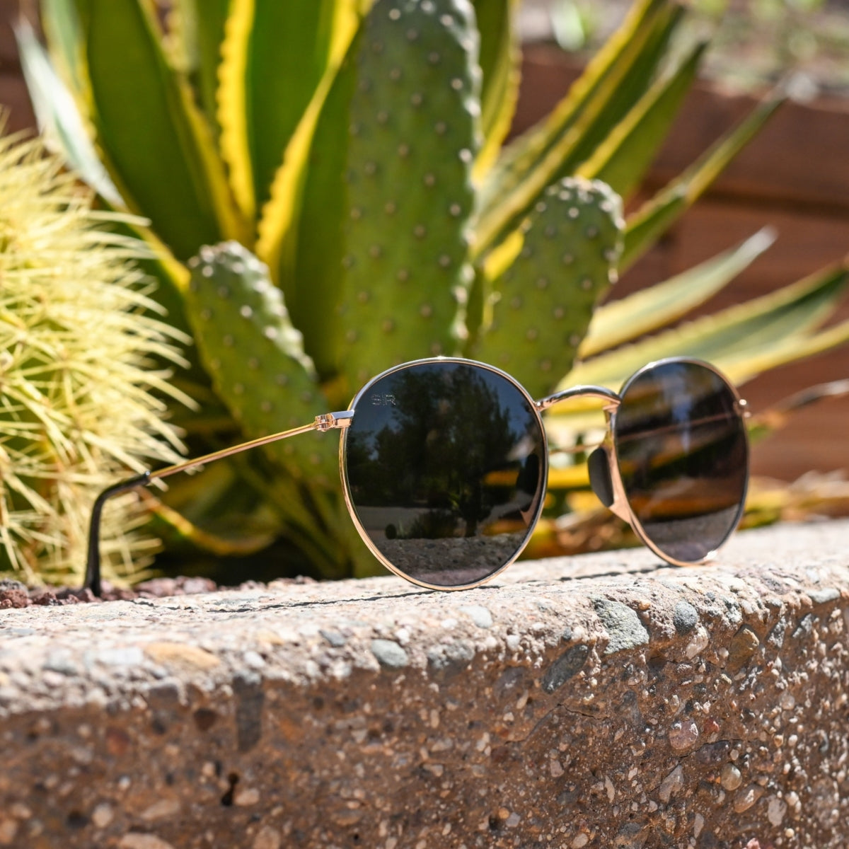 Tangle Free Aston – Black Gold Polarized