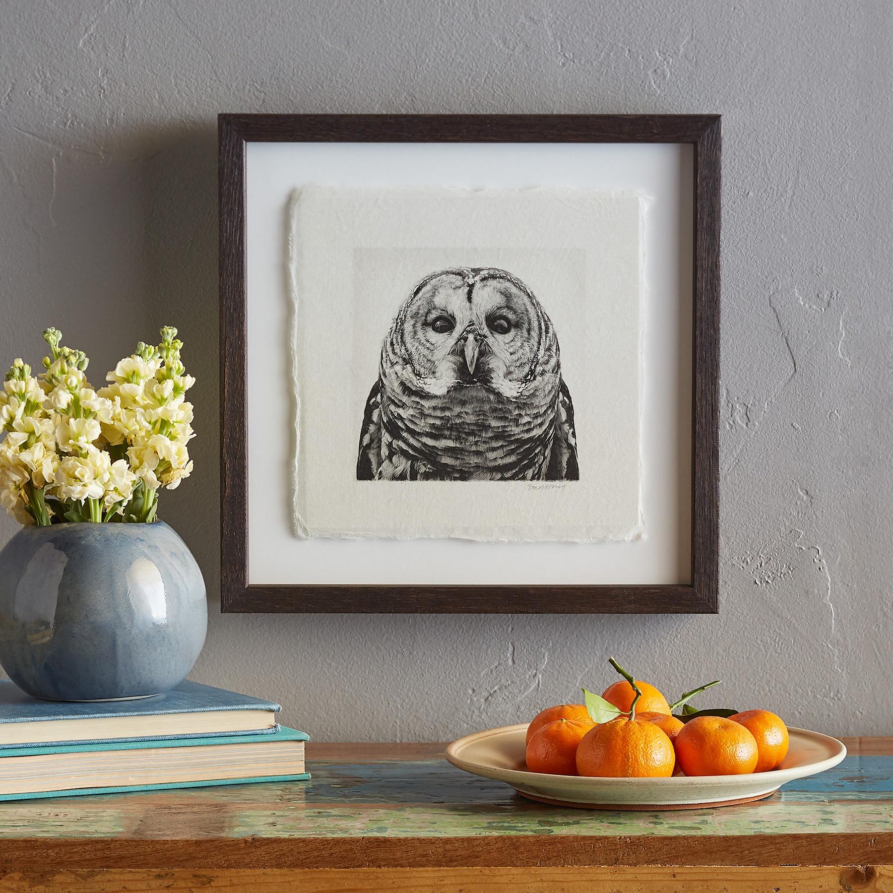Owl Prints - Blair Catalog