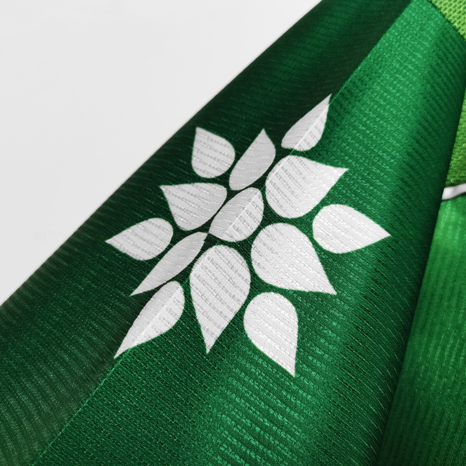 Retro Palmeiras 1999-00 Home Jersey - UnitedFutballJersey