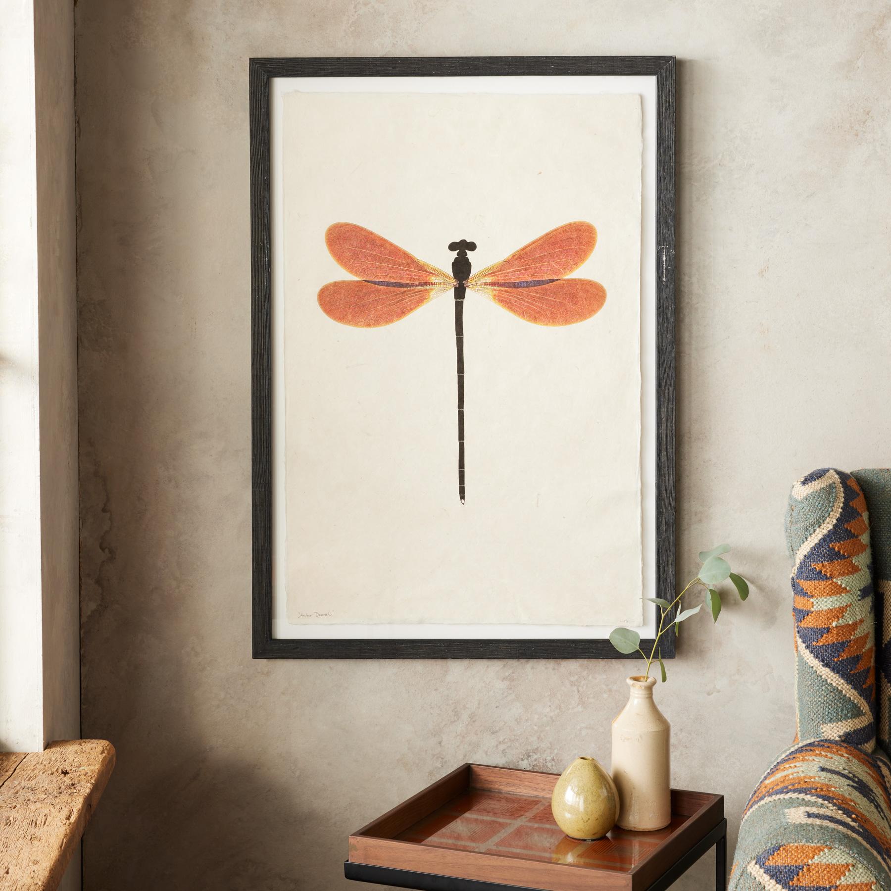 Dragonfly Studies Prints - Blair Catalog