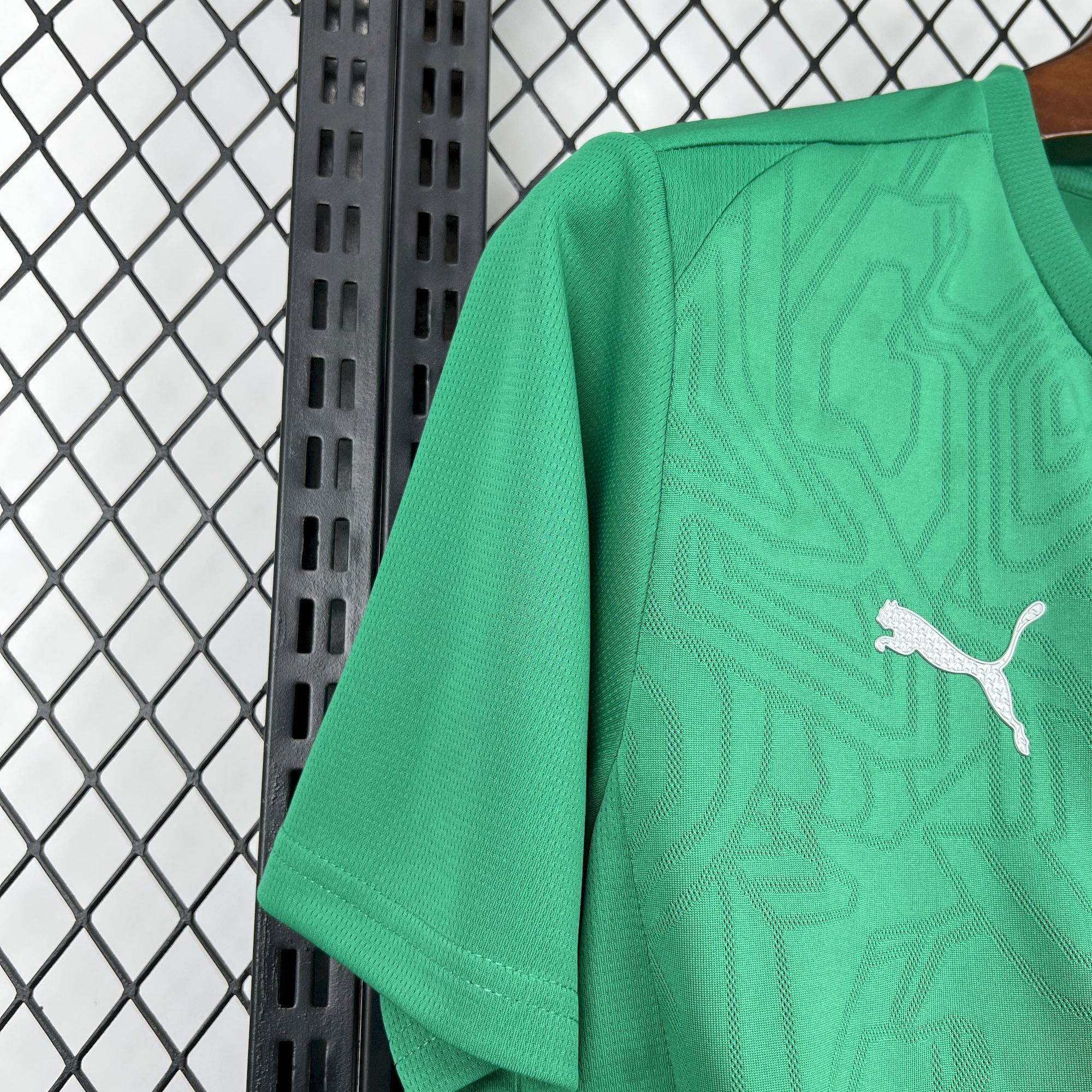 2025/2026 Palmeiras Training clothes Green Football Jersey 1:1 Thai Quality