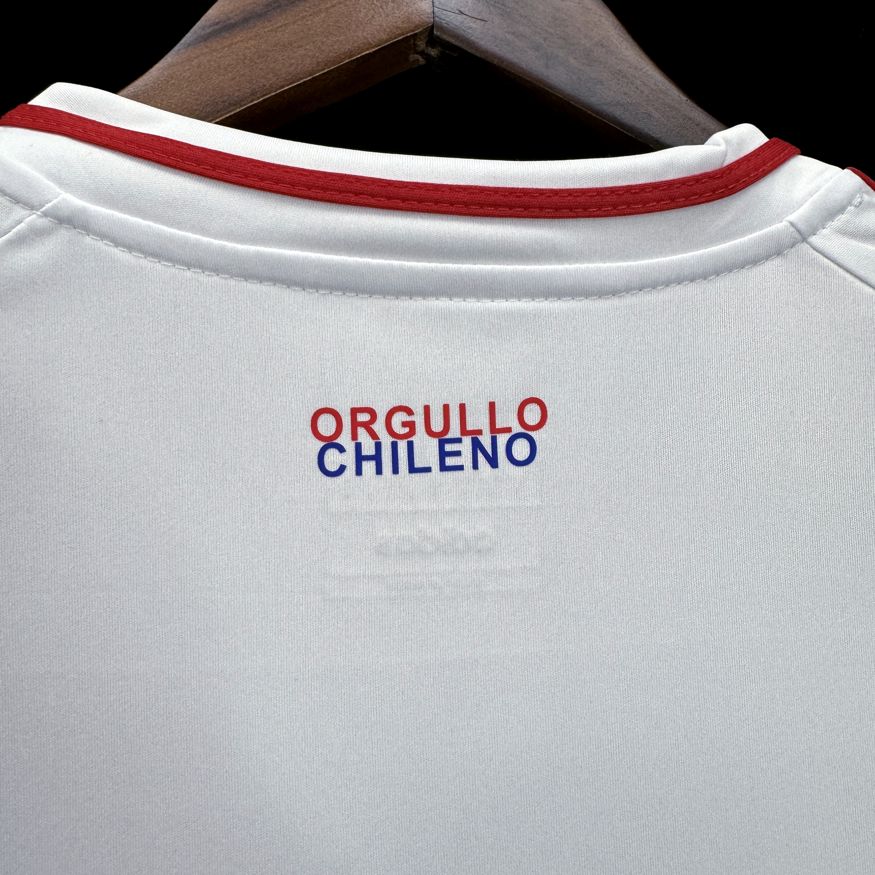 2024-2025 Chile National Team Soccer Jersey Away