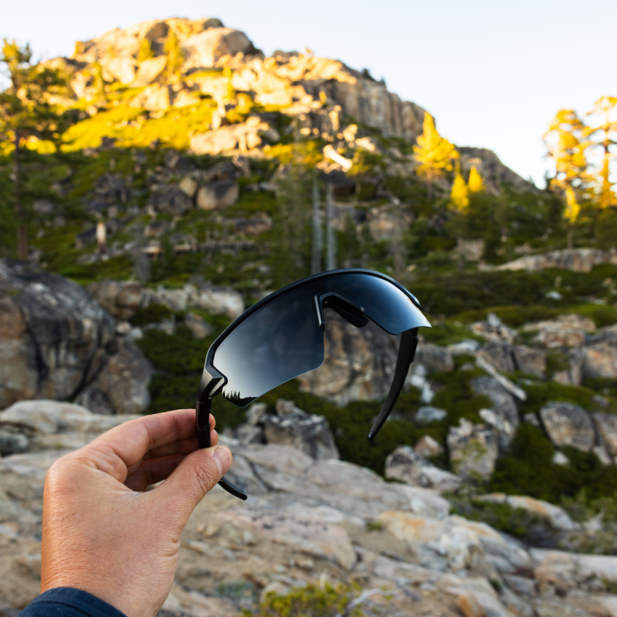 Apex – Blackout Polarized