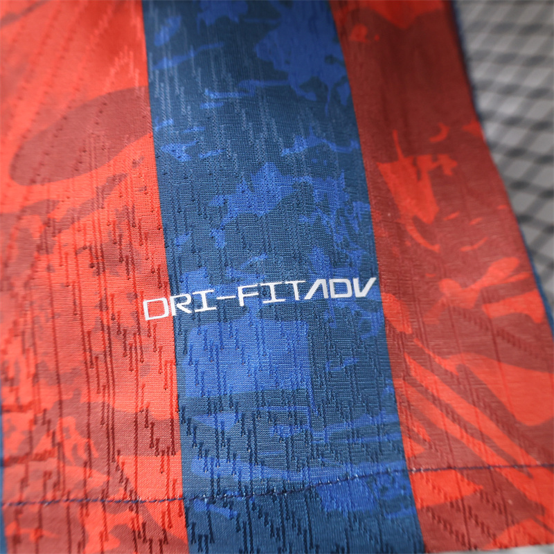 2024/2025 Player Version Barcelona Stripe Special Edition Jersey 1:1 Thai Quality