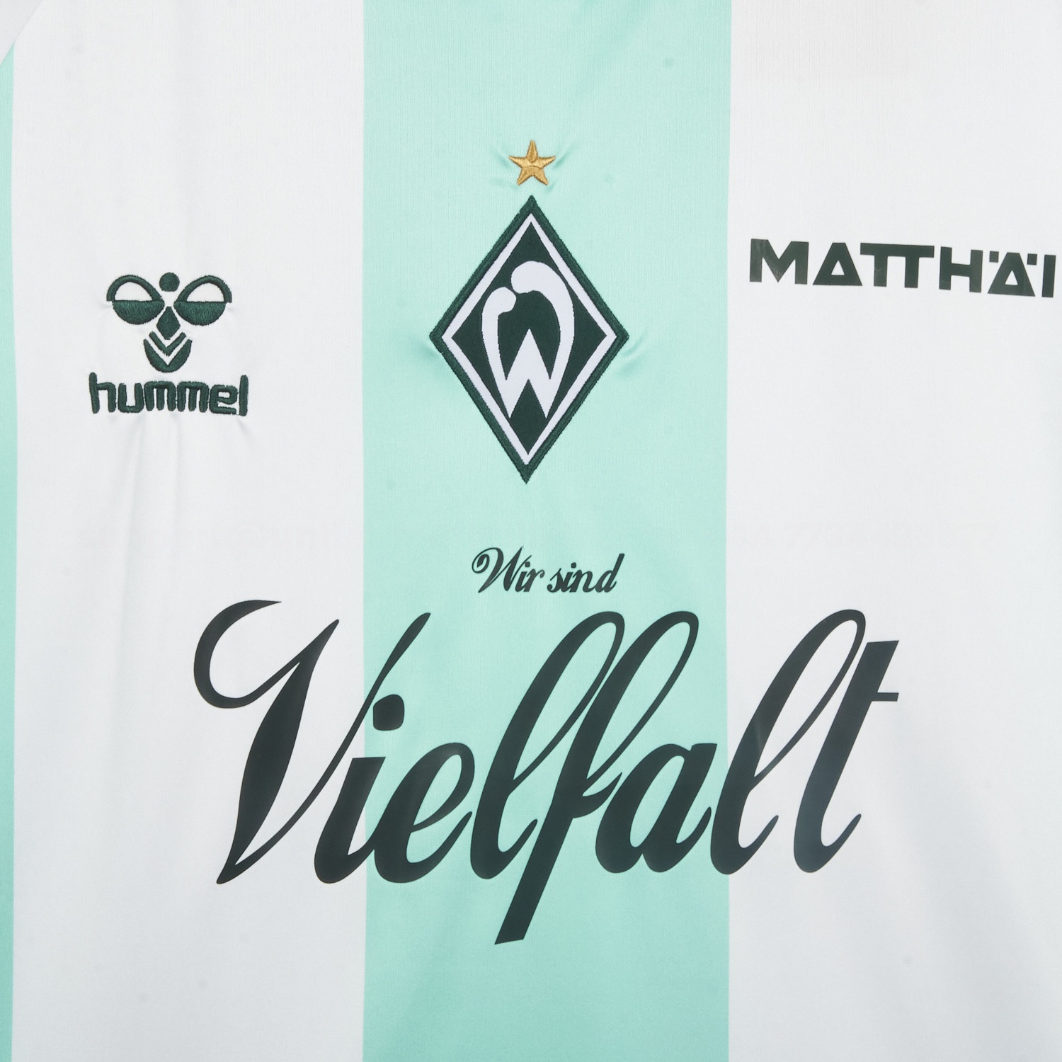 Werder Bremen 25-26 Green And White Special Jersey - Fans Version - UnitedFutballJersey