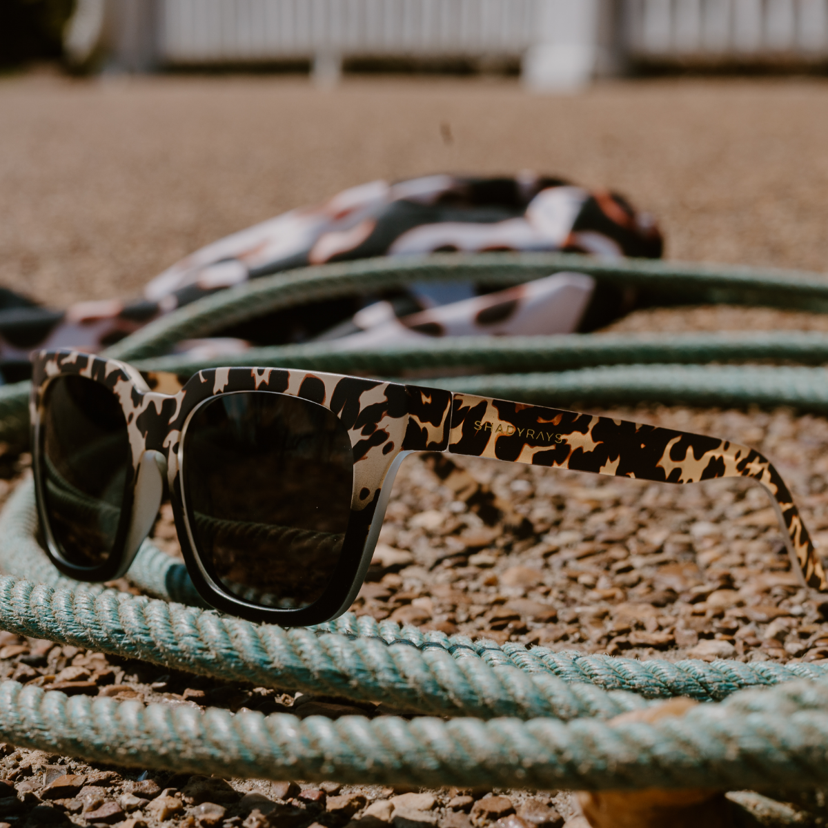 Dahlia – Prairie Tortoise Polarized