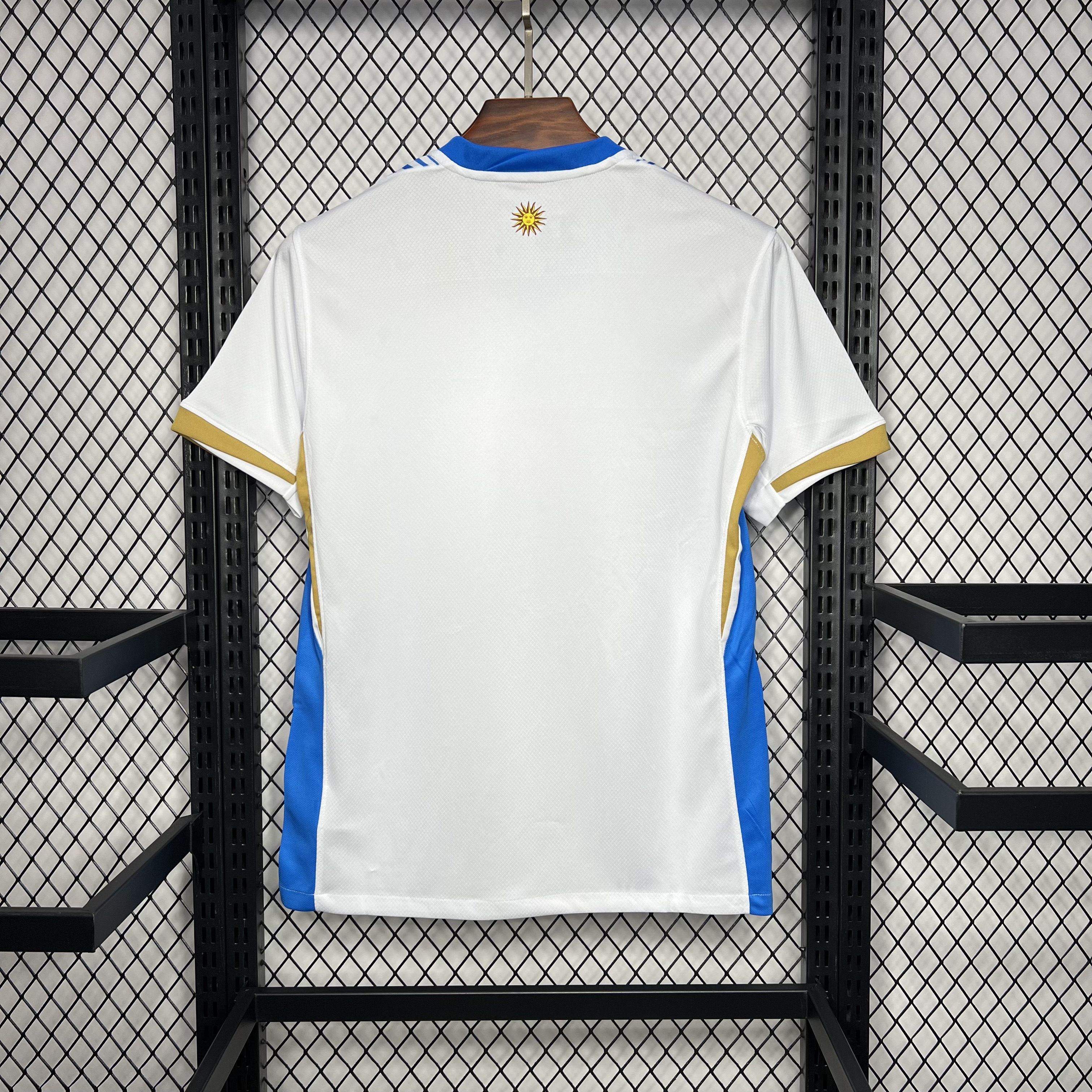 2024-2025 Uruguay National Team Training Wear Football Shirt