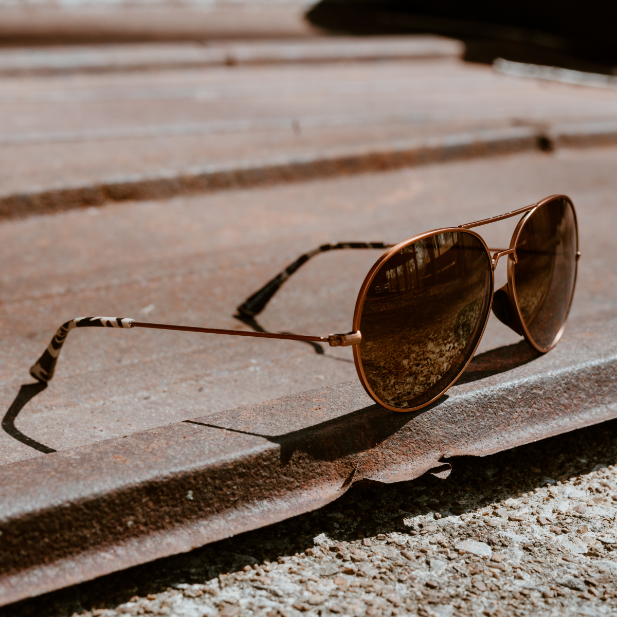 Tangle Free Aviator – Prairie Tortoise Polarized