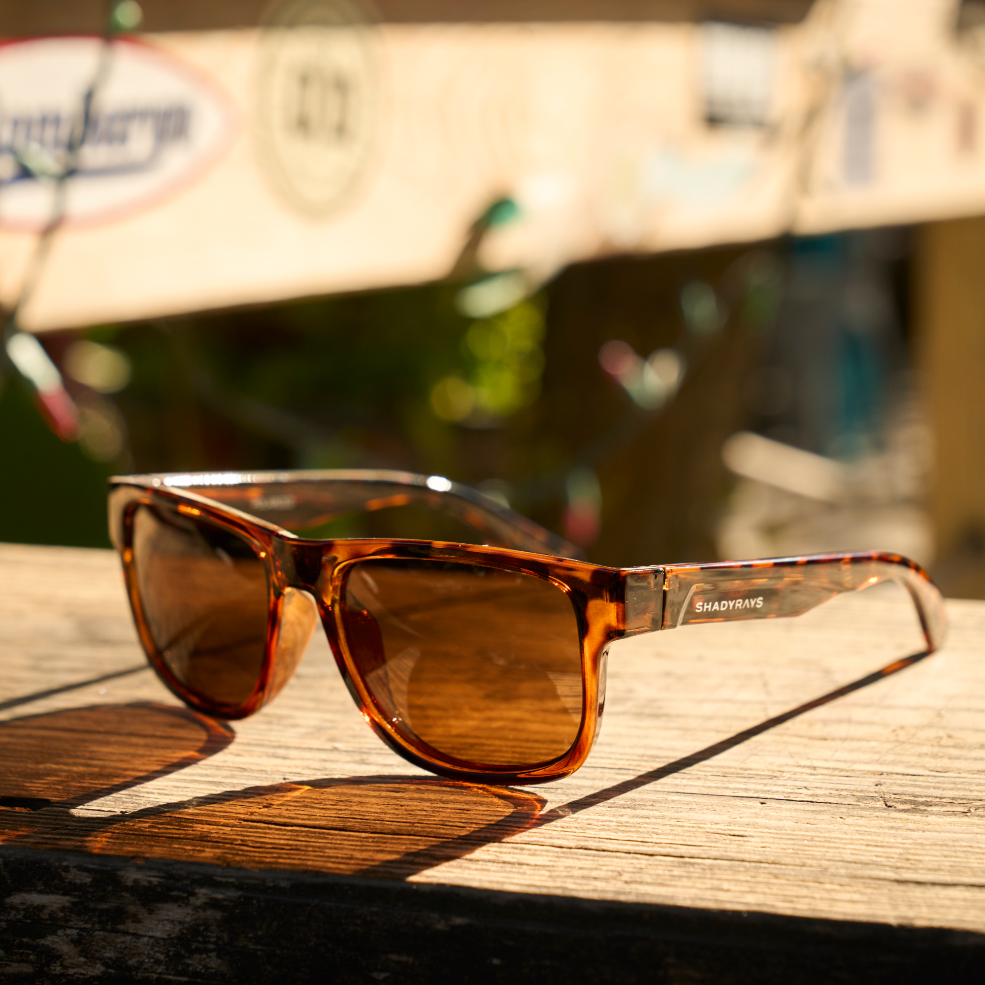 Mojave – Amber Tortoise Polarized
