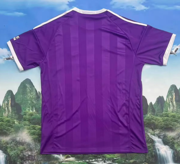 2025/2026 Aston Villa Goalkeeper Purple Football Shirt 1:1 Thai Quality