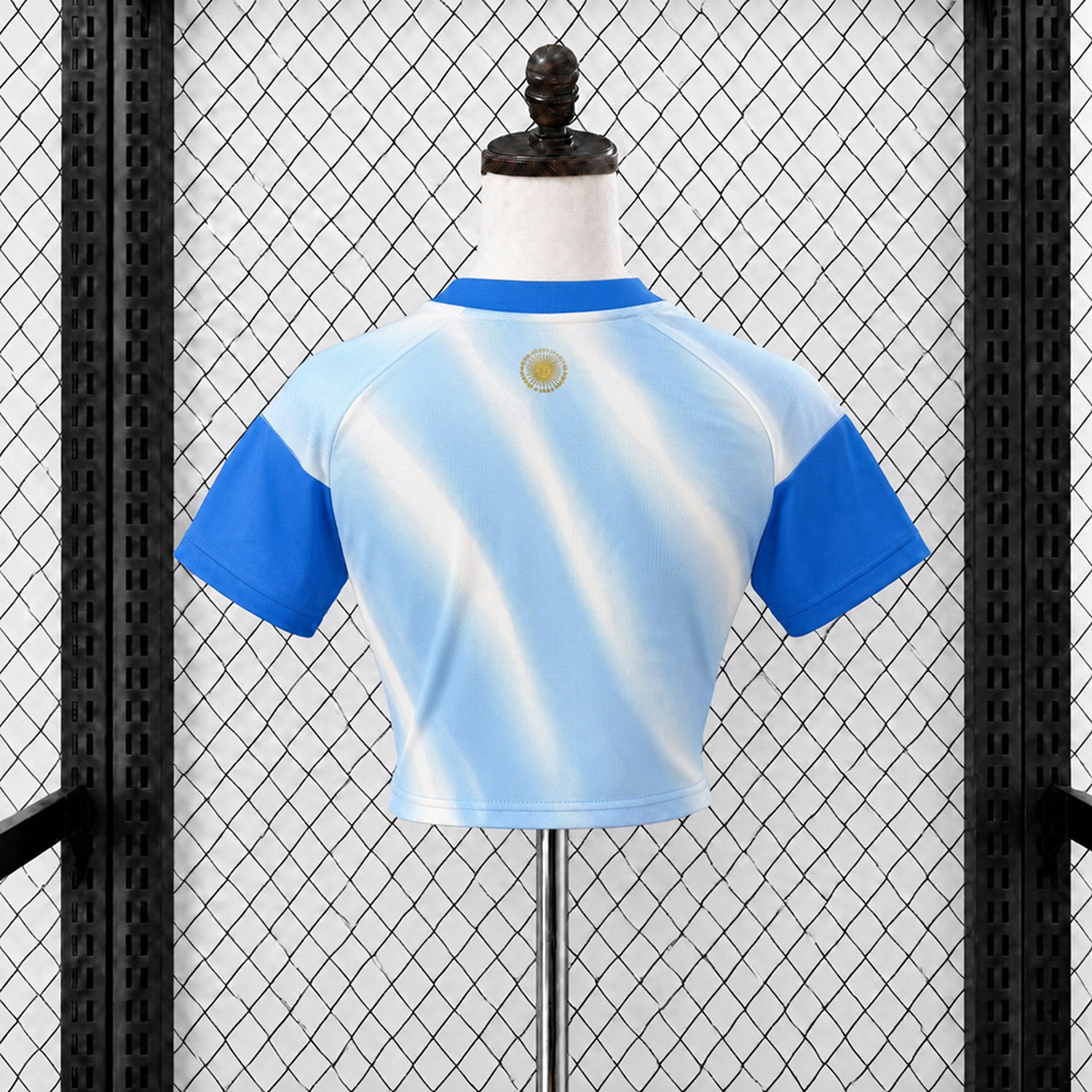 Women's Argentina 2026 Messi Tribute Blue White Pre-Match Training Cropped Jersey - Fans Version - UnitedFutballJersey