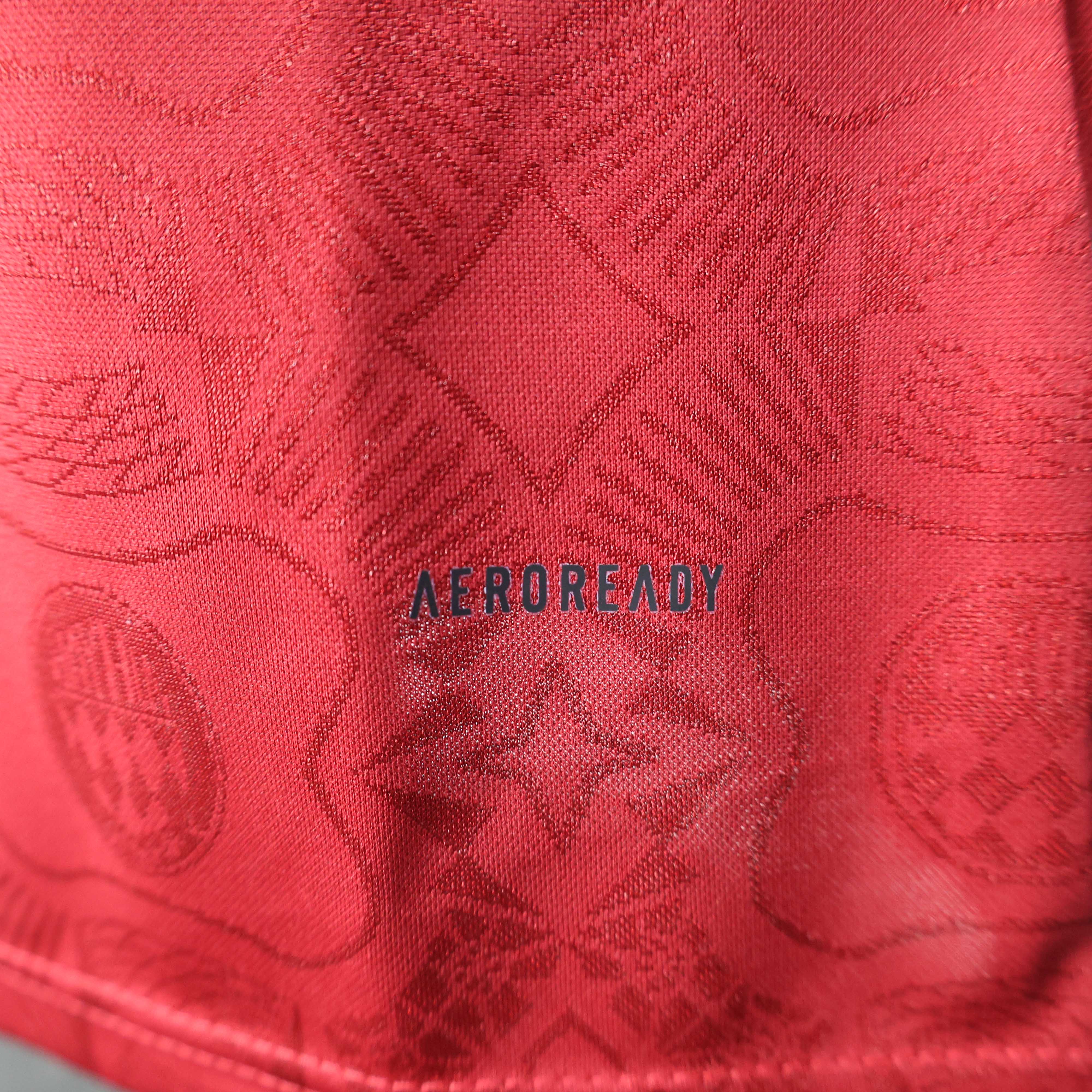 2025-2026 Long Sleeves Bayern Munich 125th Anniversary Edition Player Version Football Shirt 1:1 Thai Quality