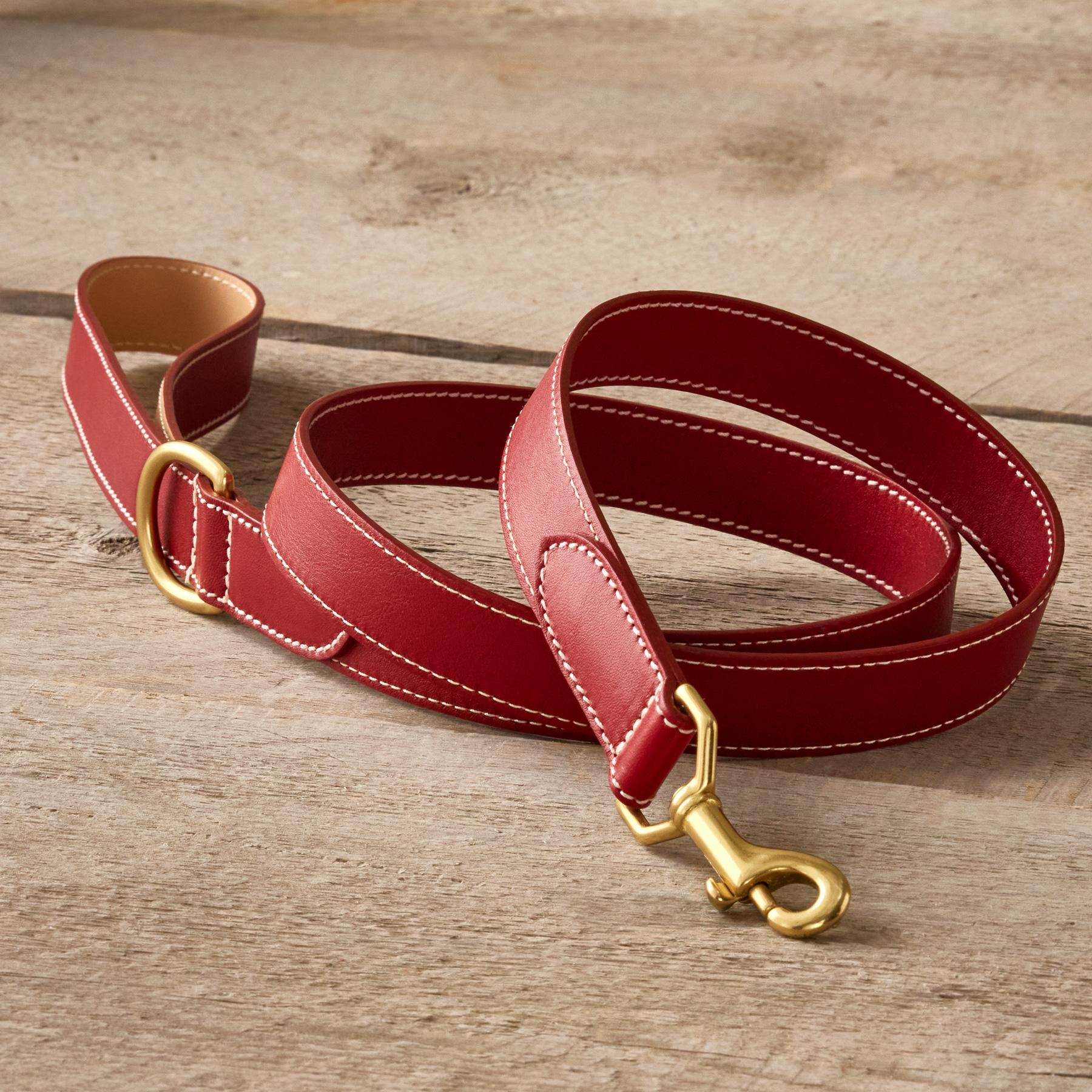 Shiloh 47in City Leash - Blair Catalog